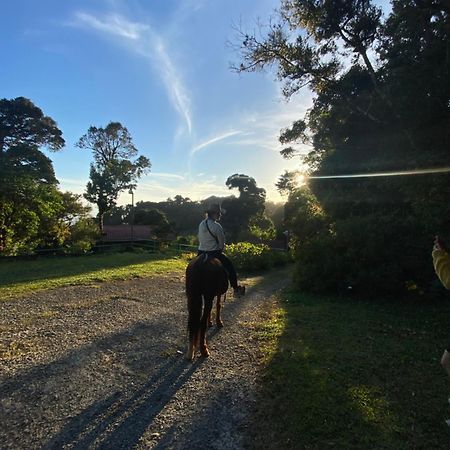 Monteverde Rancho Makena B&B 외부 사진