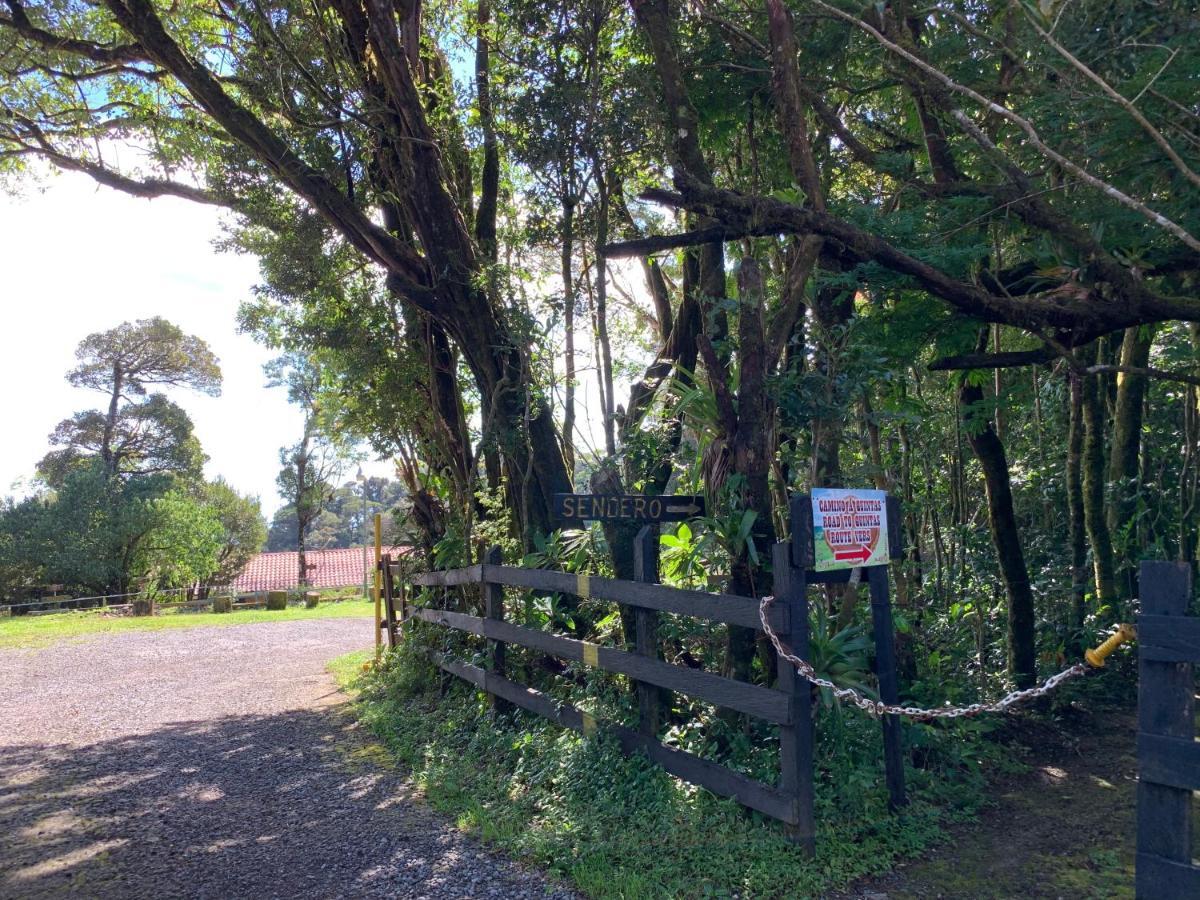 Monteverde Rancho Makena B&B 외부 사진